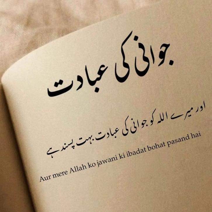 اَلسَلامُ عَلَيْكُم وَرَحْمَةُ اَللهِ وَبَرَكاتُهُ
صبح بخیر🌷