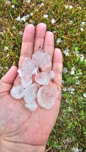 Large hail rained down on SWLA earlier today. Sheriff's offices in Beauregard, Vernon, and Allen parishes have not received any reports of damage.

Photos were submitted by residents around the area. If you'd like to submit your photos, email us at news@kplctv.com