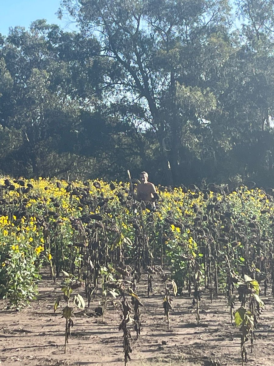 Esteban Bilbao tweet media