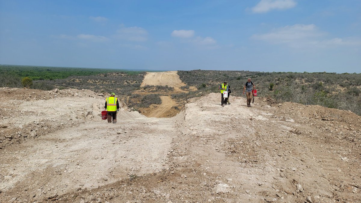 Joey Santore tweet media