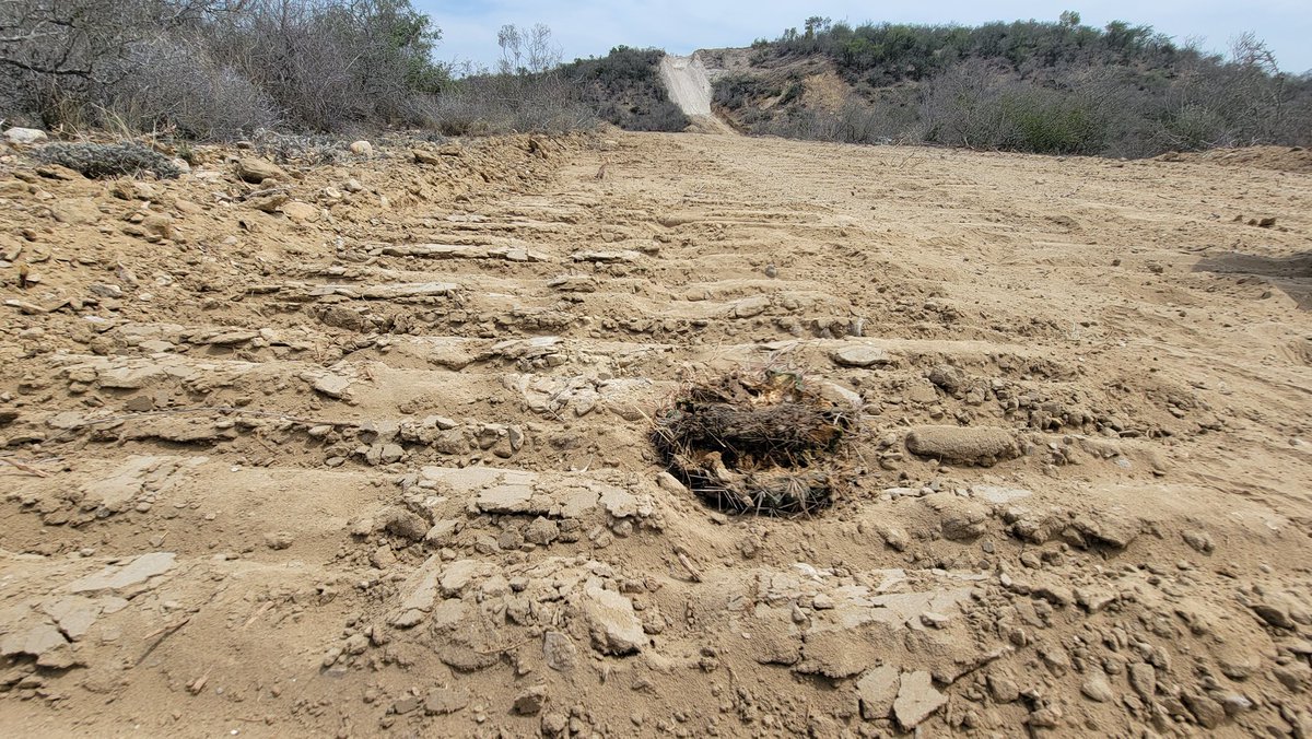 Joey Santore tweet media