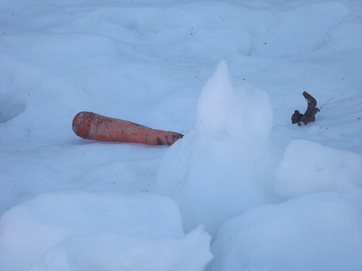 TorPoet's tweet photo. Vanishing Species
https://t.co/ulyXdXOiTb
#Toronto #WordPress #travel #photography #Ontario #snow #winter #spring #vanishing #melting #snowpeople #carrot https://t.co/8ppaSg1n95