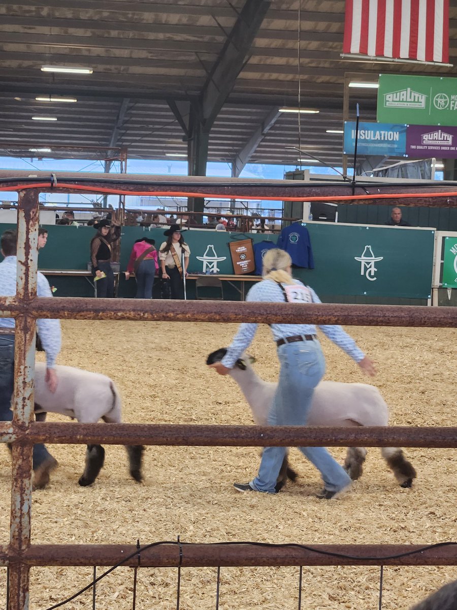 Stocktonag's tweet photo. Good job showing your lamb pepper today Cheyenne Loll.  We are proud of you! @StocktonCISD @Conroe__FFA https://t.co/zHFnWGEJKd