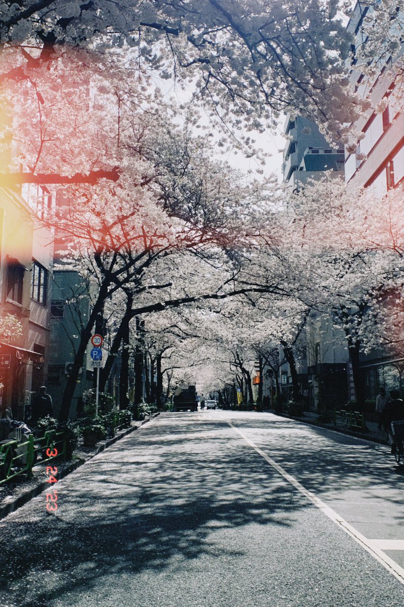 GL_OFFICEDESIGN's tweet photo. おはよう御座います。
日本橋の天気は曇☁️
裏の桜通りは満開ですね。🌸

#企業公式春のフォロー祭り
#企業公式つぶやき部 
#企業公式がお疲れさまを言い合う https://t.co/cmJwR0wDlz