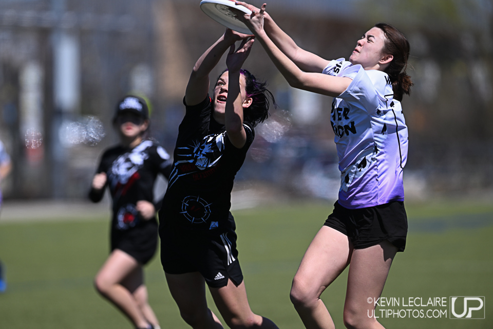 Kevin Leclaire Photo tweet media