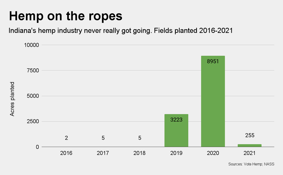 Failure to set legal framework in Indiana means ‘hemp program is dying’ @HempTodayNews buff.ly/3LoeMPk #hemptoday #hempnews #hemp   Focus should be on industrial hemp

@ThingBlu1 @clearESG1 @Efixii