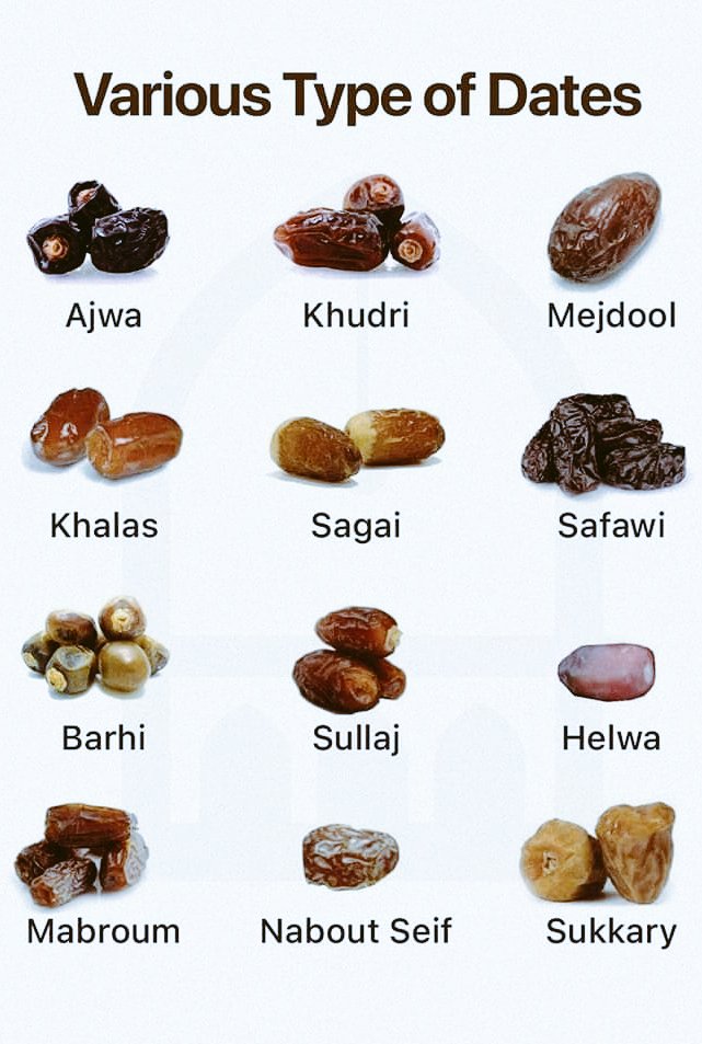 Cool_Ustaz's tweet photo. What are your favourite types of dates? https://t.co/MjOfFO3l1k