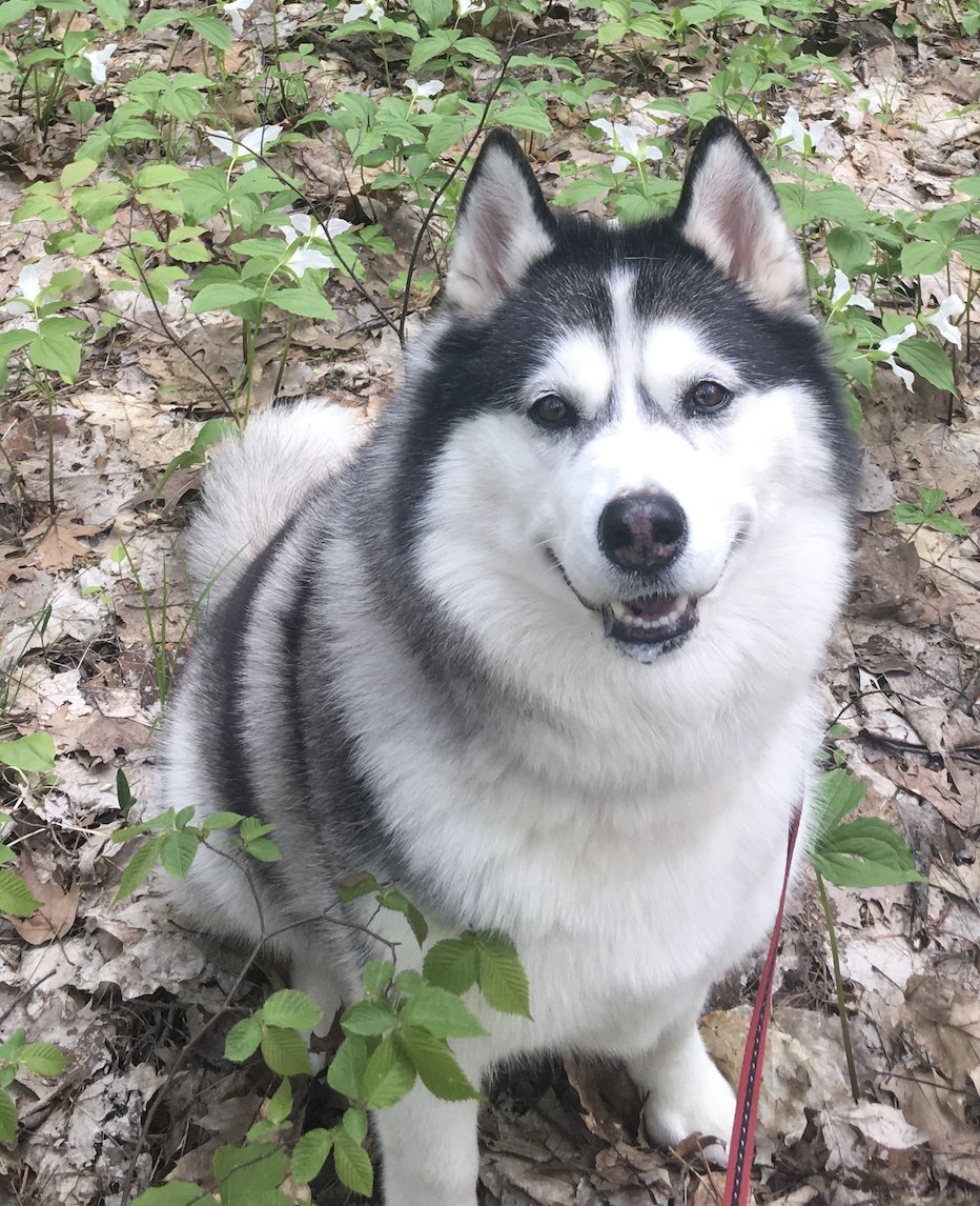 Dr. Imogen R. Coe tweet media