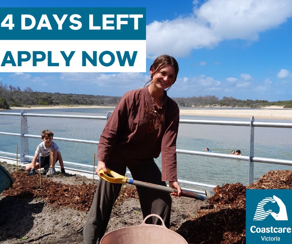 With only 4 days left until the Coastcare Victorian Community Grants close, it is important to leave enough time to finish your application 📆
Applications close at 5pm on 30 March 2023, for details on the program, visit: marineandcoasts.vic.gov.au/.../coastcare
#coastcarevictoria