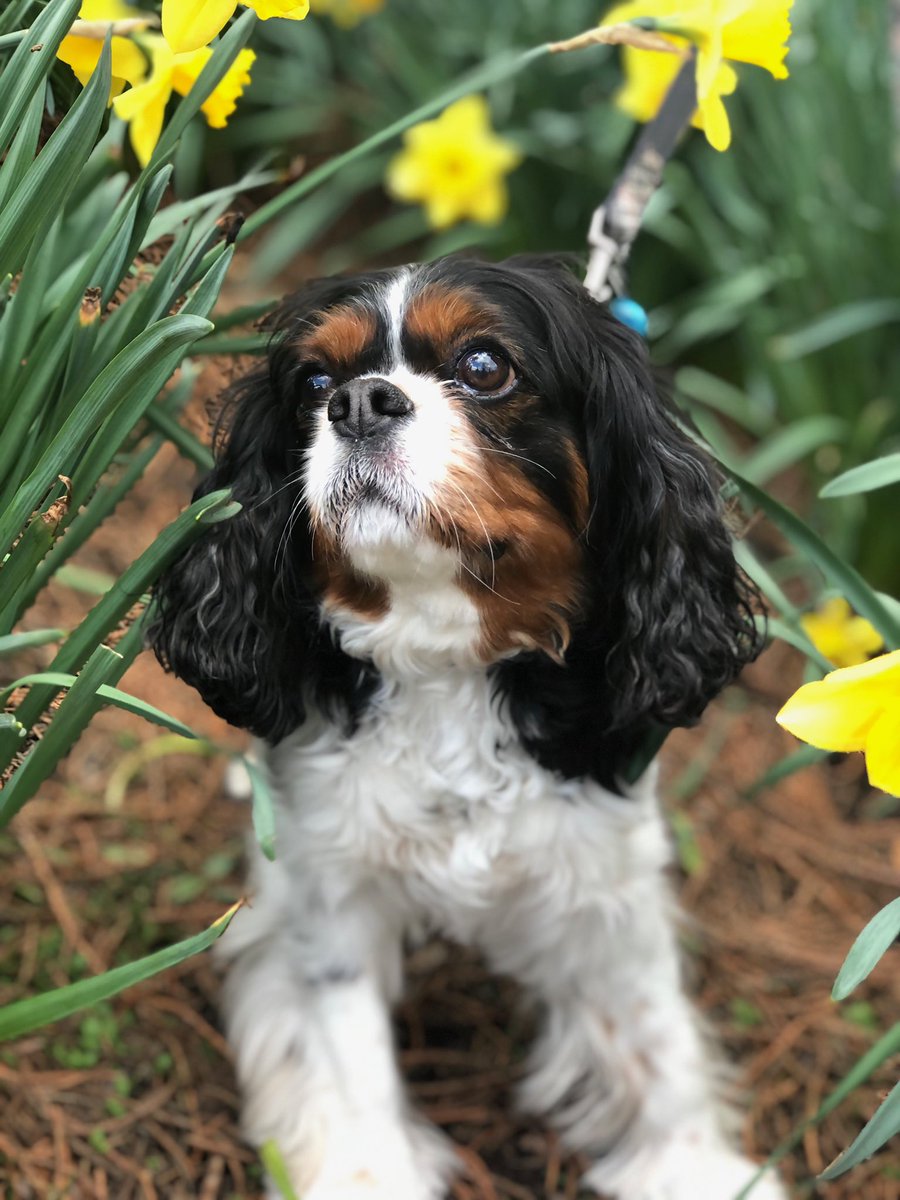 Me and spring belong together!