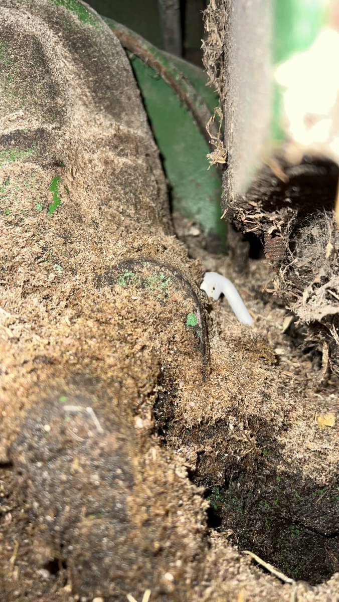 AirPods while mixing feed started off as a good idea… and quickly turned to a lost and found search in the guts of the 4030