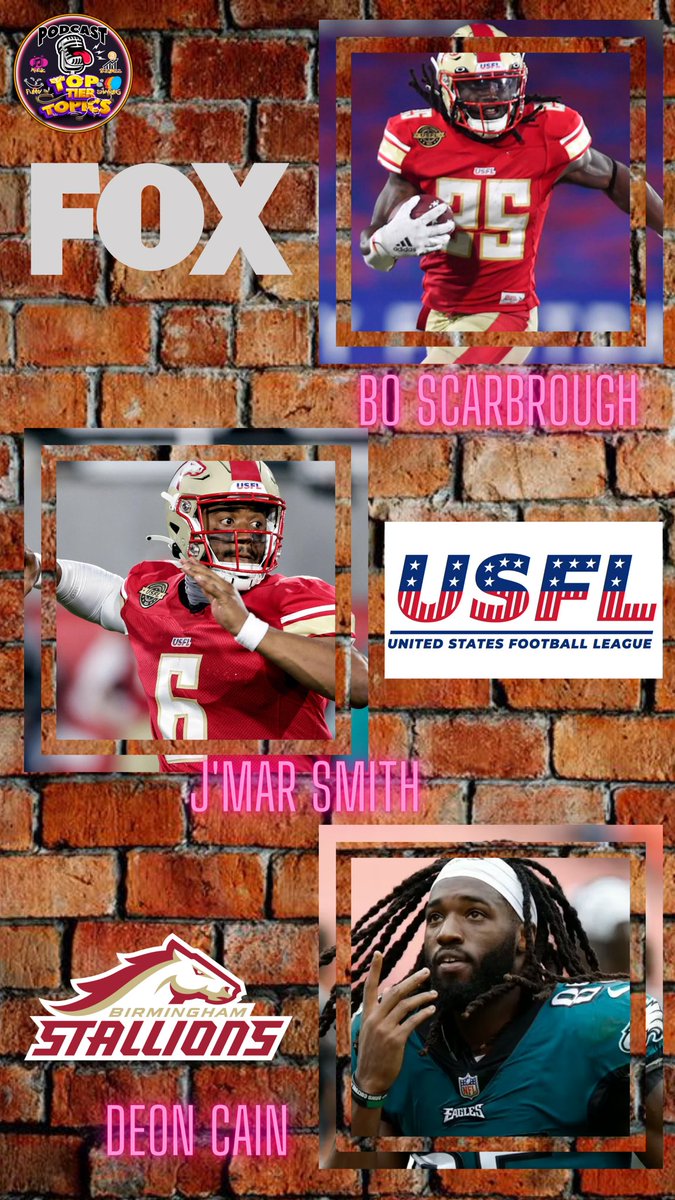 Teamgrayy's tweet photo. Who do you all want next ?? 
#usfl #Birmingham #Stallions #Giddyup https://t.co/UaGUZILwYI