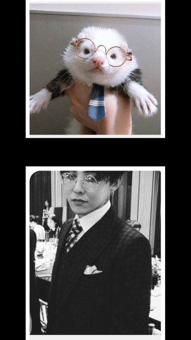 I have started something, and I'm afraid I can't stop...  #GDRAGON #BIGBANG @YG_GlobalVIP https://t.<a href="/tag/bigbang"class="tags"><span>#bigbang</span></a><a href="/tag/gdragon"class="tags"><span>#gdragon</span></a>