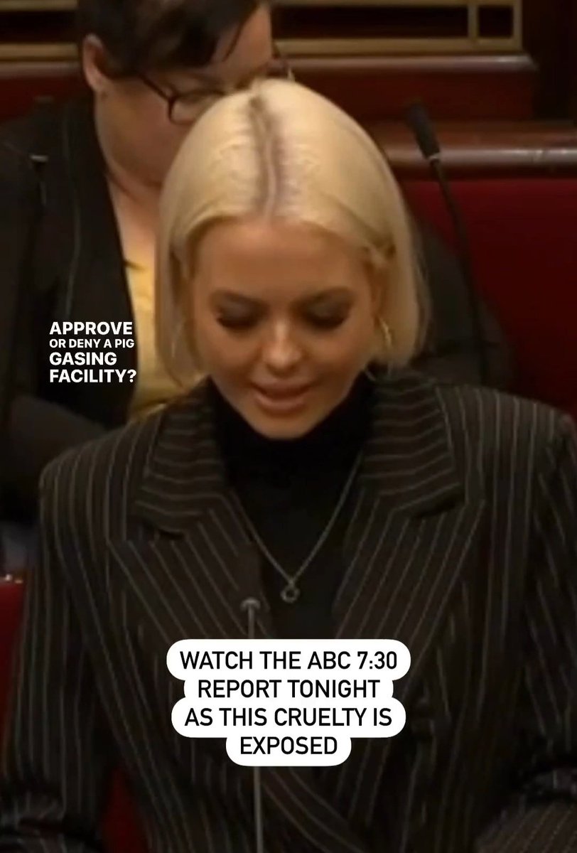 AJP_Victoria's tweet photo. Tonight @abc730 Report is sharing an investigation from #FarmTransparencyProject #ChrisDelforce
exposing how gassing cells are used to cruelly kill pigs on Victoria.
I look forward to working with Farm Transparency Project to take action in Parliament for pigs."
-@georgievpurcell https://t.co/ctTARBQH3i