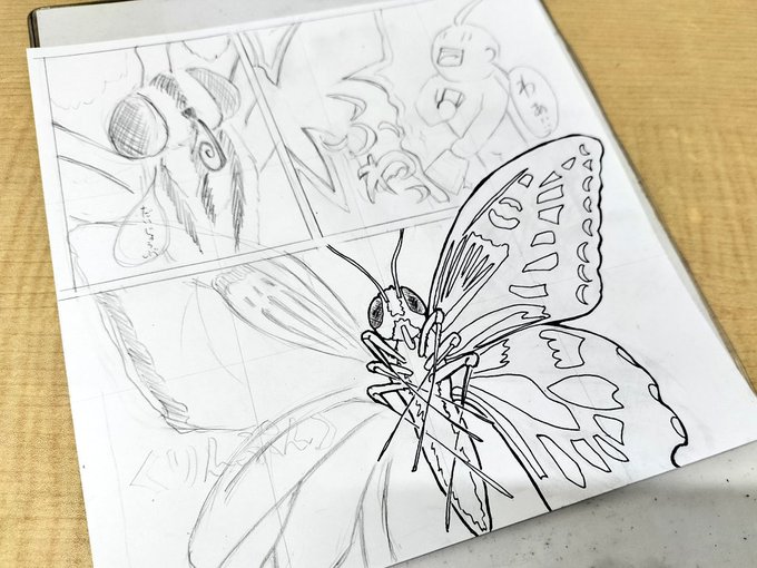 ナミアゲハ リベンジ! 