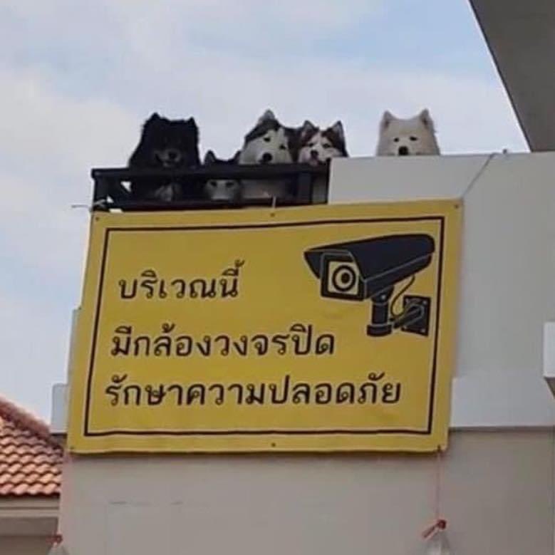 _over_slept's tweet image. โอ๋ยยยยย เอ็นดูวววววว