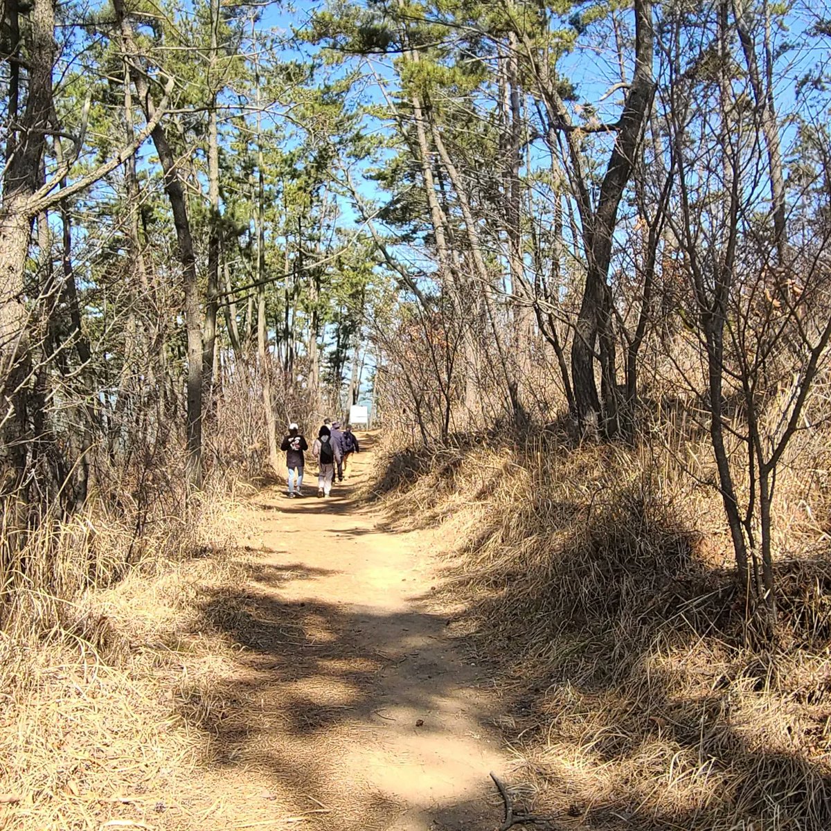 따뜻한 봄 날 떠난 '낭만이 있는 곳에' 
걷기 여행
트레킹 추천: 충남 태안 서해랑길 
코스 학암포 해수욕장-꾸지나무골 해변-작은어리골-용난굴--중막골 해변-여섬 전망대-만대항