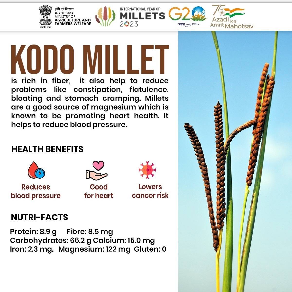 Central_Railway's tweet image. #Millets offer a host of health benefits being rich in protein, fibre, iron and minerals! 

Why not try #Kodo #Millet ?
#IYOM