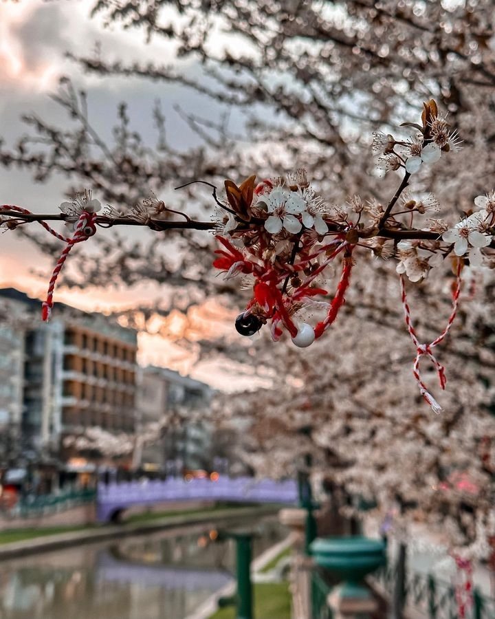 Akın Savaş tweet media