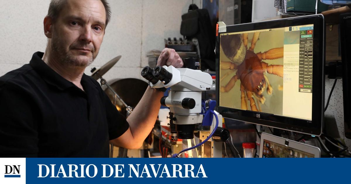 Gabriel de Biurrun, aracnólogo: "Navarra es un hogar privilegiado para las arañas" diariodenavarra.es/noticias/navar…