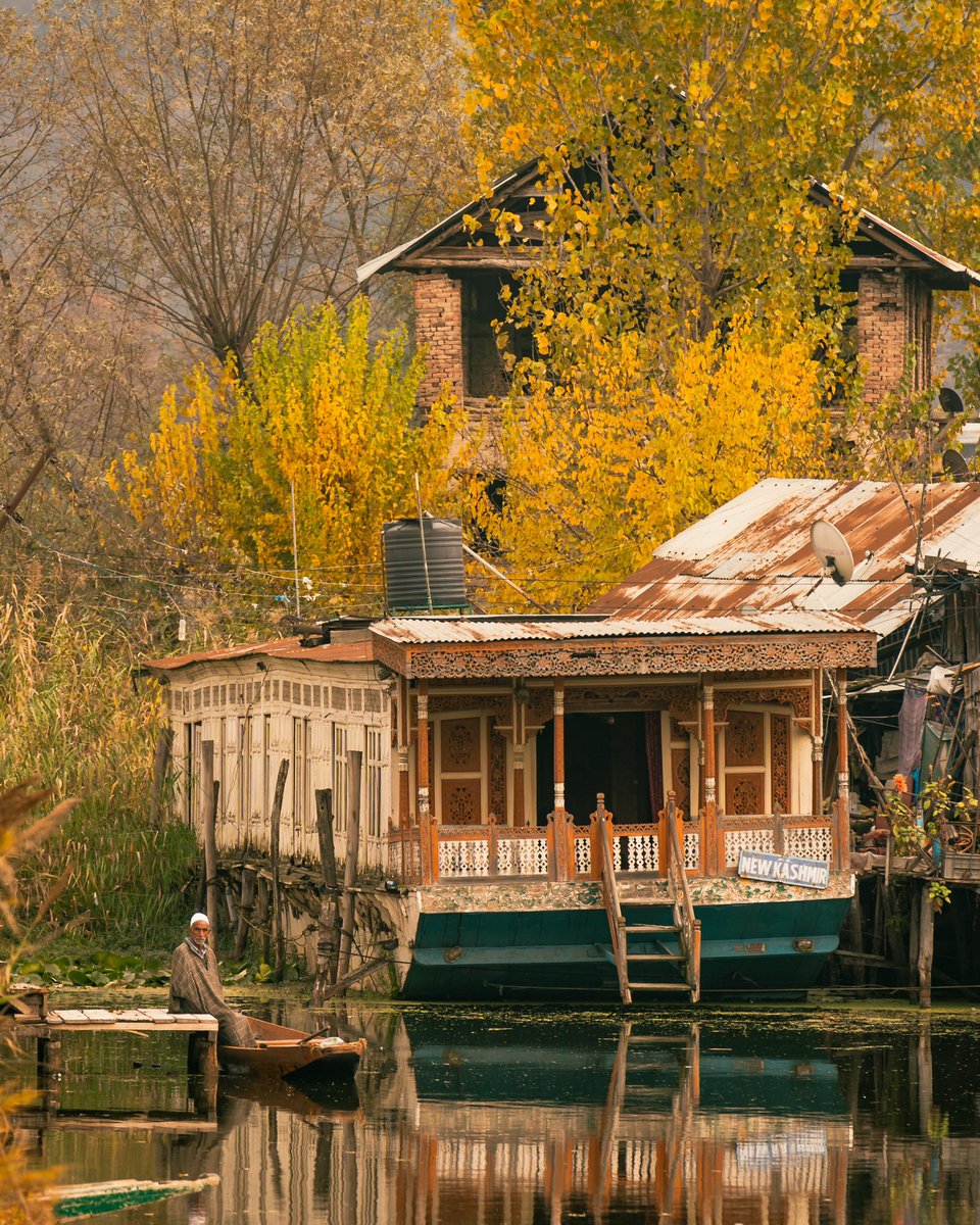 Finding peace in the tranquil waters of Dal Lake, surrounded by the beauty of Kashmir. #kashmir #india #explore