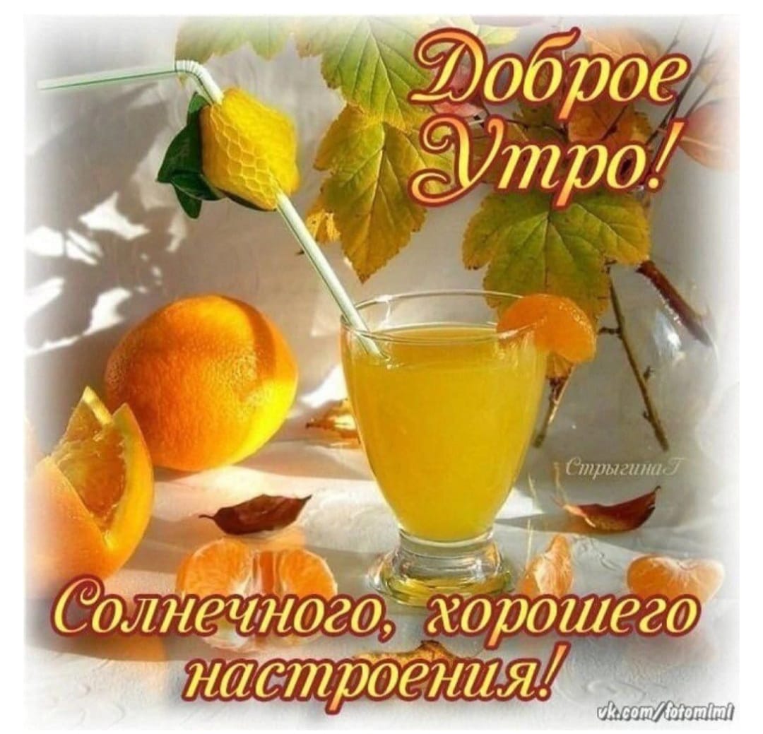4ka43636804's tweet photo. @Valen_tinka777 https://t.co/cGcnmo6780