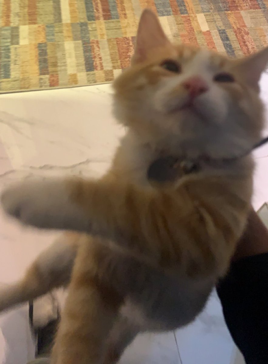 للحين ما نمت ادور عليه😢