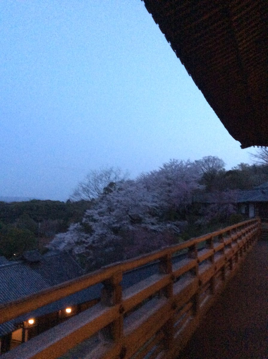 大仏さまの民 on Twitter