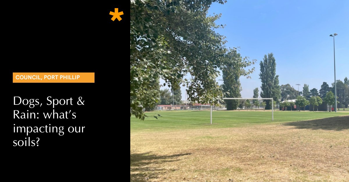 PSMedia's tweet image. City of Port Phillip says 90% of service requests about sporting grounds relate to damage by dogs: news.psmedia.com.au/port-phillip/n…