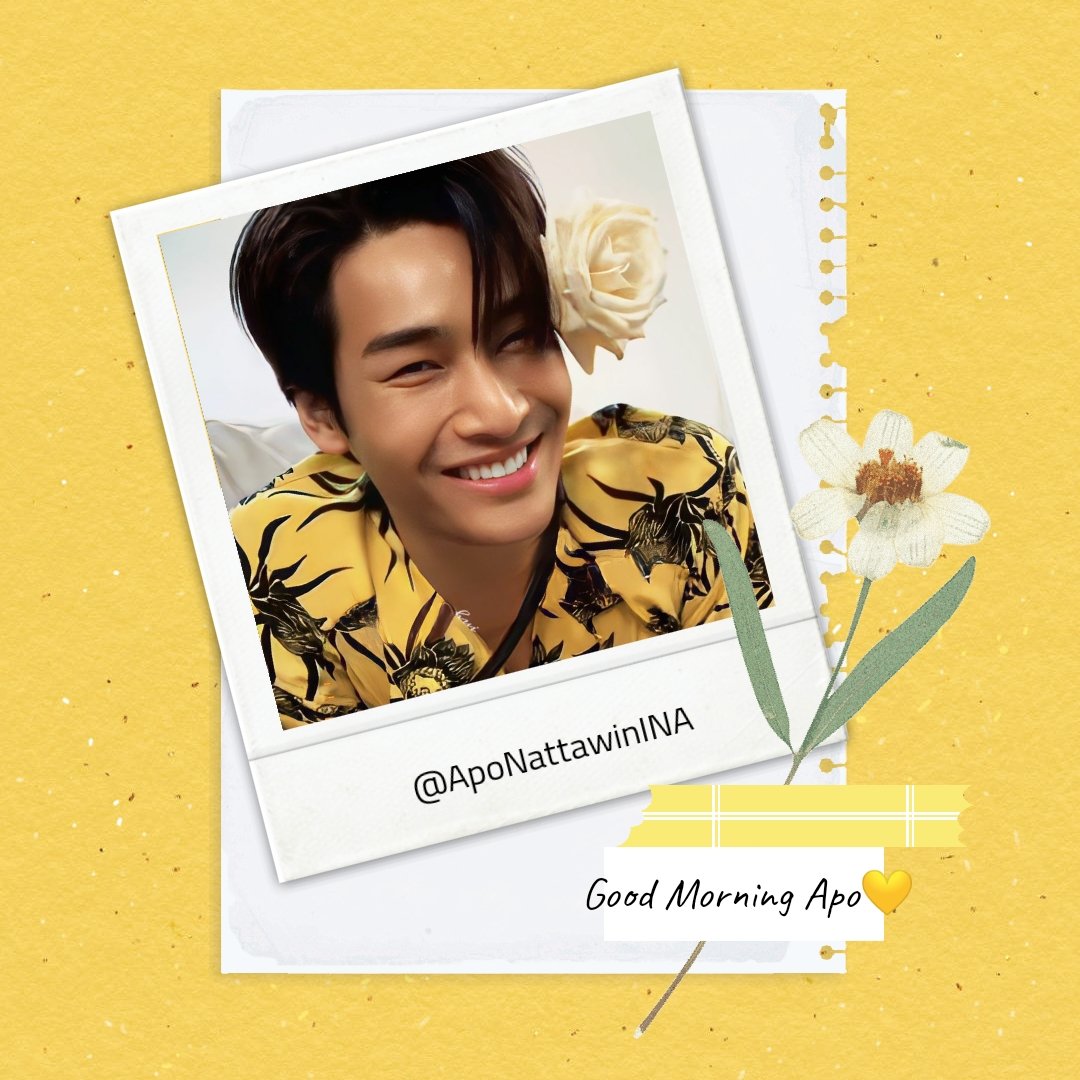ApoNattawinINA's tweet photo. ☀️ APO MORNING

Good morning Apo, may these beautiful rays of the sun bring you oceans of success and happiness 💛

@Nnattawin1
#Nnattawin #apocolleagues https://t.co/5t0ocTlJLd