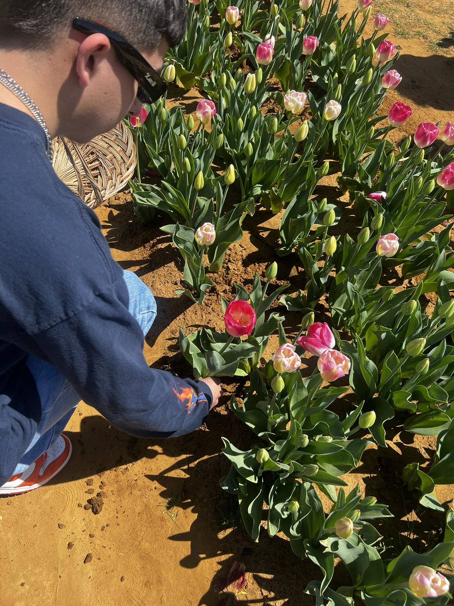 dallannnaaa's tweet photo. Loving spring 💘 https://t.co/INH9yFZt2d