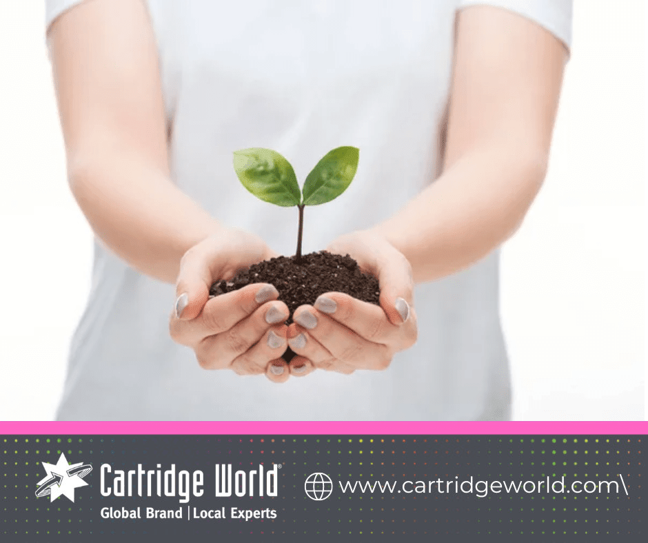CWGlobal2's tweet photo. Green-Office-Printing-Guide
https://t.co/1Mb2CJrcEF
#Cartridgeworldglobal https://t.co/czMtQFKAi6