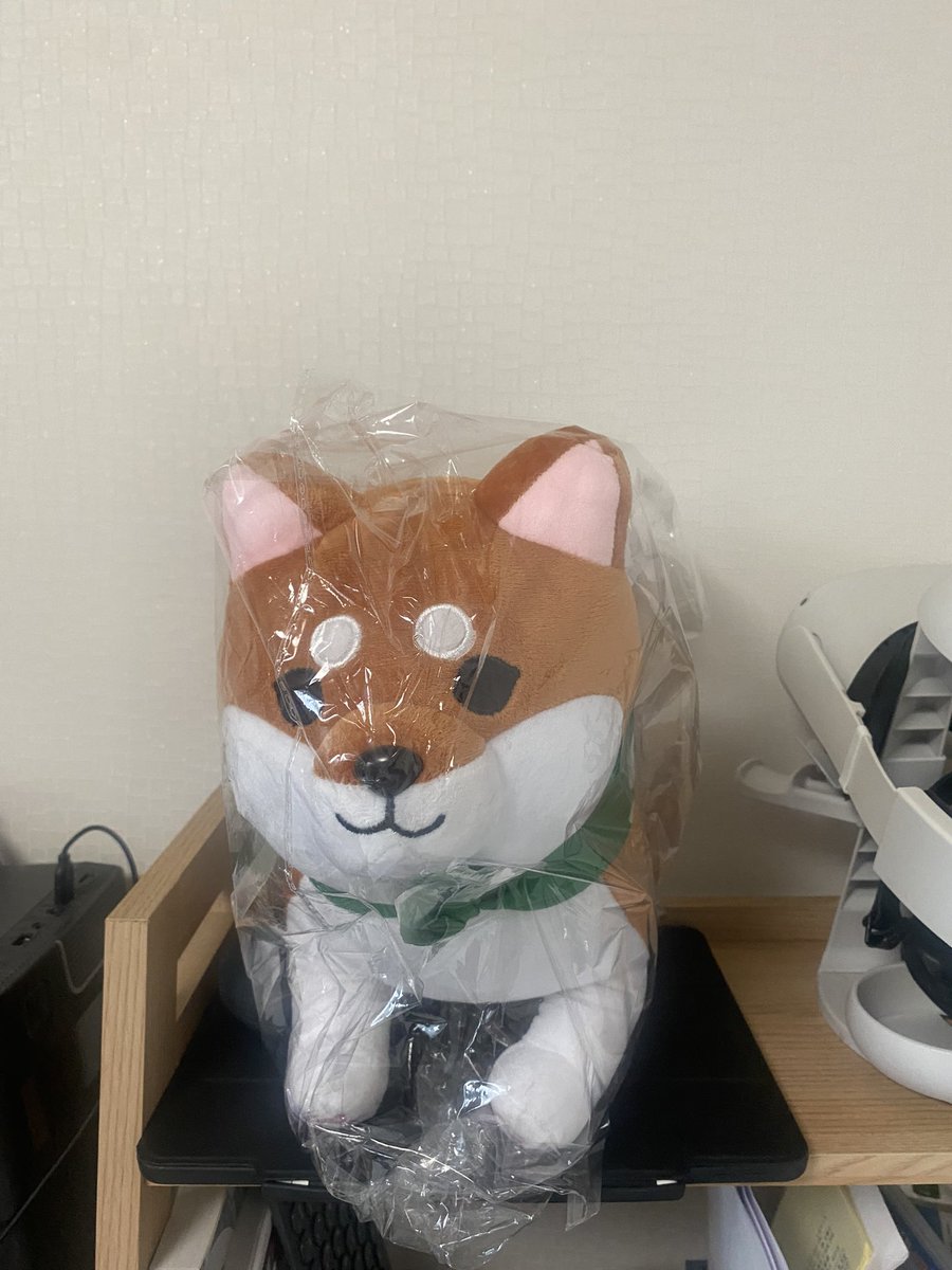 Rozy_Dam's tweet photo. 현실 꼬친도 사서 애착인형으로 만듬 크크
컴퓨터할때 잘때 품속에있음 https://t.co/wT0yf5UeBv