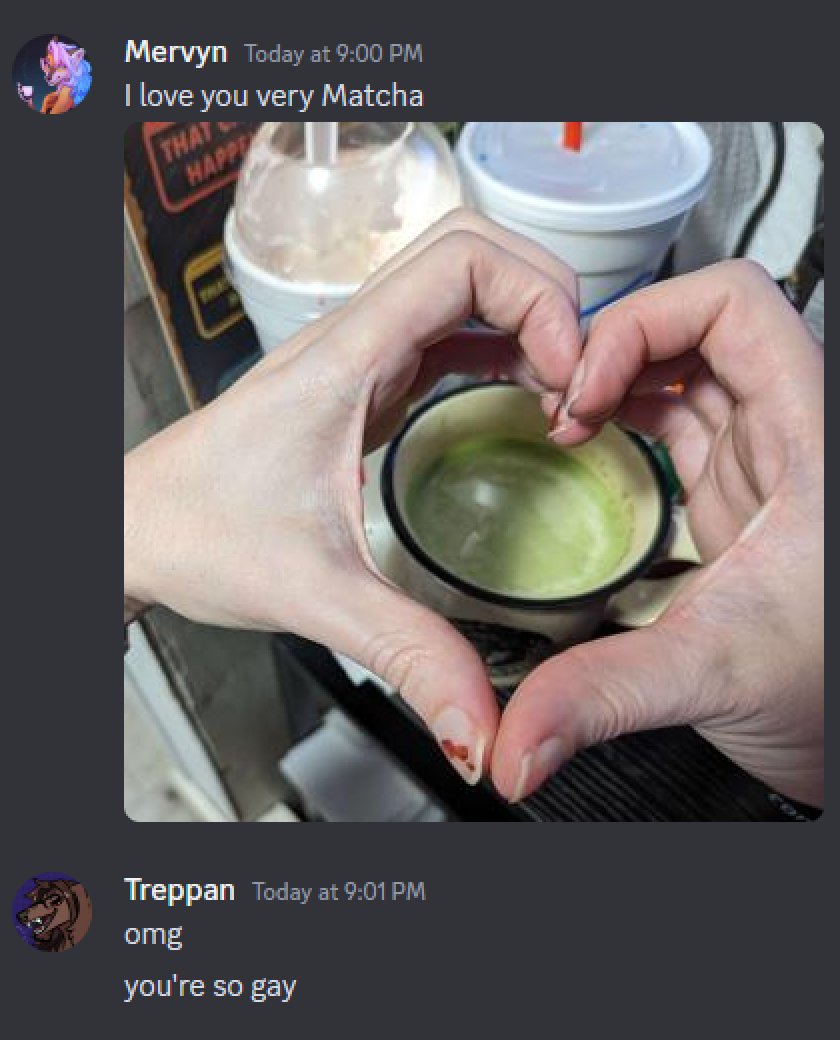 Made a matcha latte for Merv and it sends me this from the other room