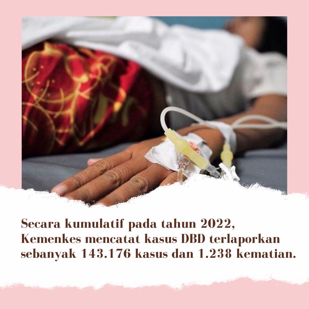 #AwasDigigitNyamuk
Semua Lawan DBD

Hati2 kawan selalu jaga kebersihan 
Secara kumulatif kasus DBD kemenkes mencatatkan 143.176 kasus dan 1233 kematian... Wow ngeri neh 😒