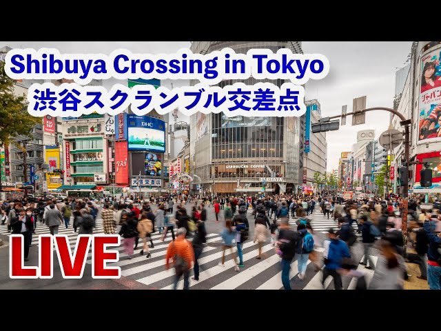 come_2japan's tweet photo. (LIVE) 渋谷スクランブル交差点ライブカメラ Shibuya in Tokyo, Japan LIVE https://t.co/4p6pvChfmY https://t.co/USUV1lLbes