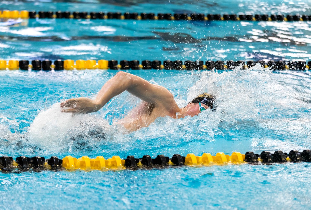 MizzouSwimDive's tweet photo. Our Relay Teams were on π₯π₯π₯ this week!!
- 4οΈβ£top-20 finishes
- 3οΈβ£ three All-American honors
#ZOUStyle x #MIZπ― https://t.co/P4l51qWdlg