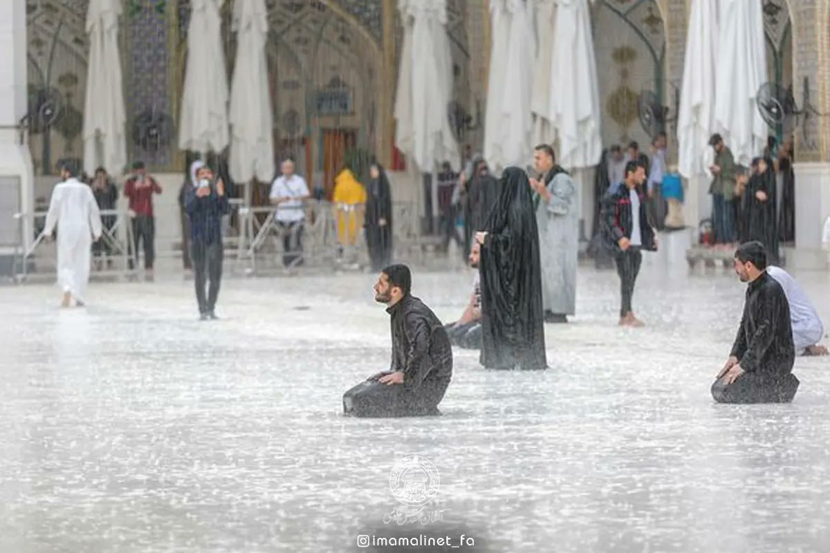 اگه مردمو این صحنه هارو نجف خونه ی بابا ندیدم
روی سنگ قبرم بنویسید حسرت باران نجف را داشت :)