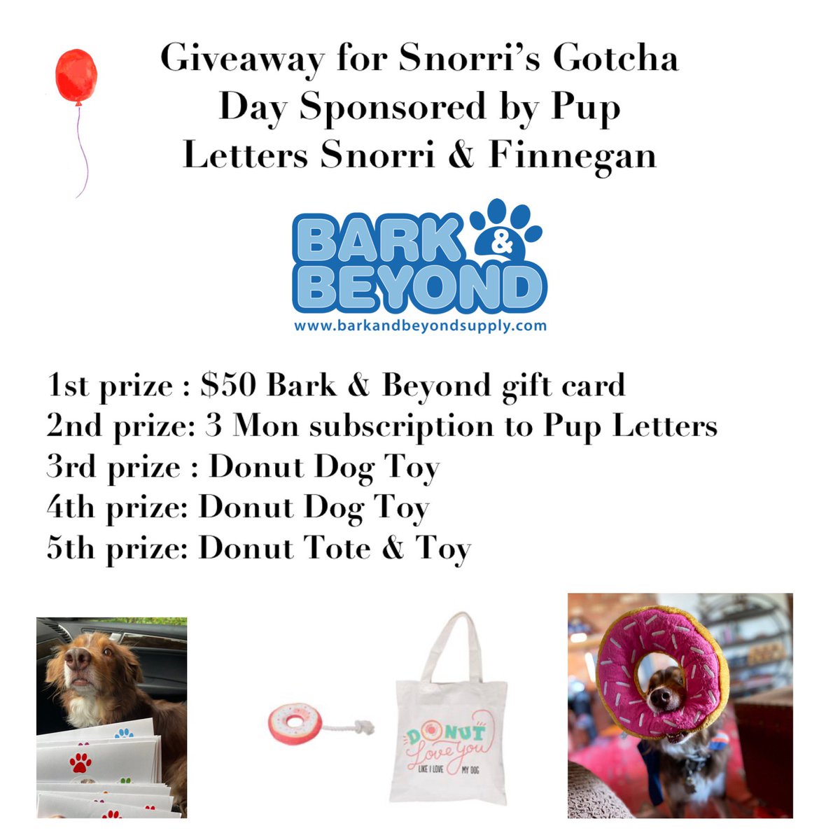 Bark & Beyond®️🇺🇸 tweet media