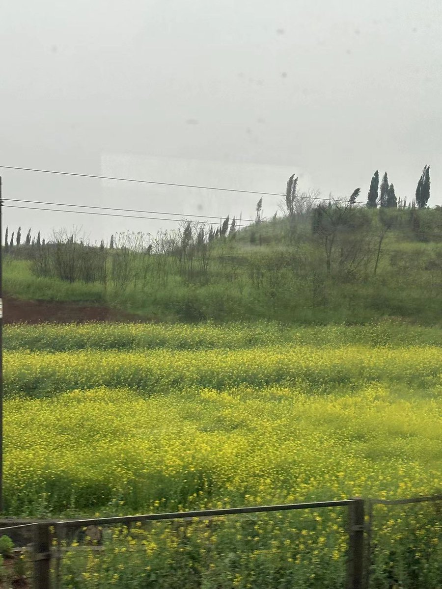 rebecce0517's tweet photo. A little bit of beauty in the journey. https://t.co/Wx5aLpyxpP