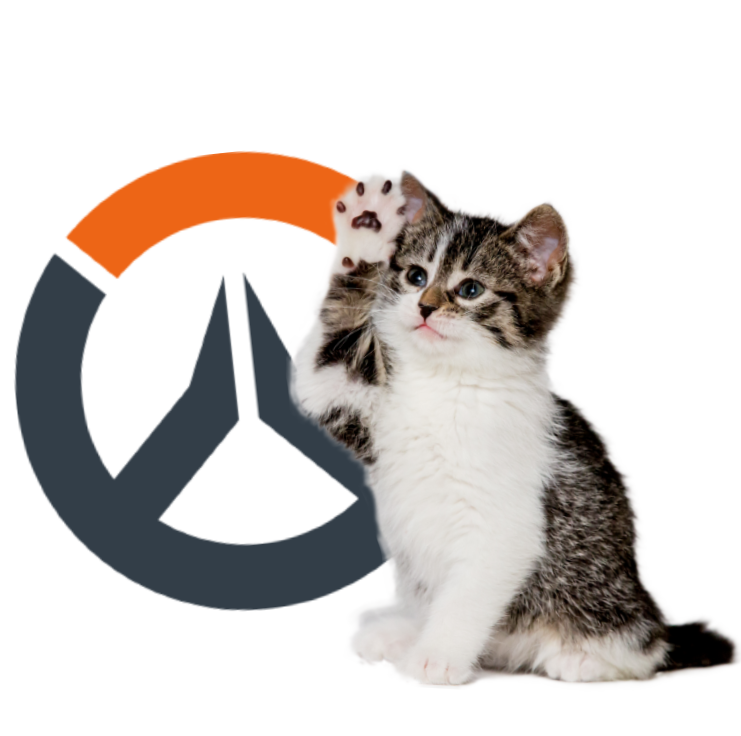 NyanSox's tweet photo. Overwatch Heroes as Kittens a 🧵 https://t.co/qi6Uzf7kat