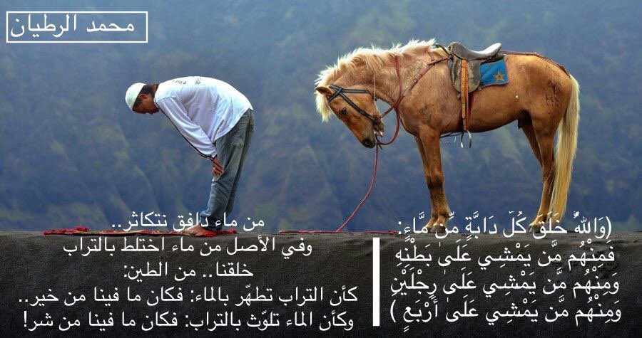 alrotayyan's tweet photo. 📘 #أبجدية_الماء : سـ .. مـاء!

(أ)
 من أعجب وأجمل ما في هذا القرآن: 
أن القرآن يُفسّر القرآن!
كلمة هنا.. تكشف لك سرها كلمة هناك.
سؤال في هذه السورة.. تعرف إجابته في سورة تليه.
صورة هنا.. يتضح – ويزيد - جمالها في صورة أخرى.
أدهشني وصف الريح بـ «العقيم» في الآية التي وصفت عذاب قوم عاد ونهايتهم المرعبة 
﴿وَفِي عَادٍ إِذْ أَرْسَلْنَا عَلَيْهِمُ الرِّيحَ الْعَقِيمَ﴾ 
ولم أفهم الصورة، ولم استوعب السبب!

عندما قرأت في سورة أخرى
﴿وَأَرْسَلْنَا الرِّيَاحَ لَوَاقِحَ فَأَنزَلْنَا مِنَ السَّمَاءِ مَاءً﴾ 
اكتشفت الجمال القرآني والدقة والبلاغة العجيبة:
هذه ريح عقيم، وتلك رياح لواقح.
هذه: موت، وتلك: حياة.
هذه ريح المُنبَتّ، وتلك رياح النبت.
هذه تنزع، وتلك تزرع.
وهذه الرياح اللواقح عندما تتقدم العلوم البشرية تكتشف أنها تنقل حبوب اللقاح من ذكور النبات إلى إناثها.. ويتقدم العلم أكثر وأكثر ويكتشف أن الرياح اللواقح يبدأ عملها في السماء قبل الأرض عندما تتسبب بقدرة المسبب باصطدام الغيمة في الغيمة ليبدأ صنع الماء في السماء، وعن هذا الماء، ومنه.. يقول الخالق:
﴿وَجَعَلْنَا مِنَ الْمَاءِ كُلَّ شَيْءٍ حَيٍّ﴾
وطالما أن من الماء كل شيء حي، فهذه الرياح اللواقح: لواقح لكل شيء!

(ب)
﴿وَكَانَ عَرْشُهُ عَلَى الْمَاءِ﴾
تخيّل ملك الملوك وكيف يكون عرشه على الماء؟!
ما حجم هذا العرش واتساعه؟
ما كمية هذا الماء وامتداده الذي احتوى وتحمّل هذا العرش؟
في أي لا زمان ولا مكان - قبل خلق الزمان والمكان - كان هذا المشهد العظيم؟
فقط تخيّل!
تخيّل عظمة هذا العرش ومهابته، وتخيّل عظمة صاحب العرش.. 
وسبّح واحمد وكبَّر.

(ج)
قَالَتْ لَهُ: اللهُ الَّذِي أَمَرَكَ بِهَذَا؟ 
قَالَ: نَعَمْ.
قَالَتْ: إِذَنْ لَا يُضَيِّعُنَا.
وانصرف عنهما، وقبل أن يغيبا عن نظره وراء أحد جبال مكة.. رفع إبراهيم يديه إلى السماء:

﴿ رَبَّنَا إِنِّي أَسْكَنْتُ مِنْ ذُرِّيَّتِي بِوَادٍ غَيْرِ ذِي زَرْعٍ عِنْدَ بَيْتِكَ الْمُحَرَّمِ رَبَّنَا لِيُقِيمُوا الصَّلَاةَ فَاجْعَلْ أَفْئِدَةً مِنَ النَّاسِ تَهْوِي إِلَيْهِمْ وَارْزُقْهُمْ مِنَ الثَّمَرَاتِ لَعَلَّهُمْ يَشْكُرُونَ ﴾
 وسط هذا الوادي الموحش ذهبت هاجر التي آمنت بالله (إِذَنْ لَا يُضَيِّعُنَا) تبحث عن شربة ماء لها ولرضيعها.. فكان الله سبحانه عند حسن ظنها به، واستجاب لدعاء نبيه ابراهيم، وبدلا من «شربة» ماء تفجر «نبع» زمزم.. ولم ينقطع ماؤه منذ آلاف السنين حتى يومنا هذا!

هذا النبع كانت الاستجابة المختصرة لدعاء إبراهيم.. كل ما طلبه: 
اجعل افئدة من الناس تهوي إليهم/ ارزقهم من الثمرات.. تحققت بوجود الماء.
هذا النبع حوّل المكان الموحش إلى مكان حي، وتجمع بشري عظيم.
 
بجانب هذا النبع ولد وترعرع الرجل الأعظم الذي غير وجه التاريخ: محمد بن عبدالله ﷺ وقال عن هذا الماء:
«إنها مباركة.. إنها: طعام طعم، وشفاء سقم»

(د)
﴿وَاللَّهُ خَلَقَ كُلَّ دَابَّةٍ مِّن مَّاءٍ:
فَمِنْهُم مَّن يَمْشِي عَلَىٰ بَطْنِهِ
وَمِنْهُم مَّن يَمْشِي عَلَىٰ رِجْلَيْنِ
وَمِنْهُم مَّن يَمْشِي عَلَىٰ أَرْبَعٍ﴾
 
من ماء دافق نتكاثر..
وفي الأصل من ماء اختلط بالتراب خلقنا.. من الطين:
كأن التراب تطهّر بالماء: فكان ما فينا من خير..
وكأن الماء تلوّث بالتراب: فكان ما فينا من شر!

(هـ)
الماء: أول شئ اشتهاه أهل النار وطلبوه من أهل الجنة..
﴿وَنَادَىٰ أَصْحَابُ النَّارِ أَصْحَابَ الْجَنَّةِ: 
أَنْ أَفِيضُوا عَلَيْنَا مِنَ الْمَاءِ﴾

لأنهم لا يعرفون في جهنم من المياه إلا هذه الأنواع المرعبة بأسمائها وصفاتها…
- الماء الصديد: 
﴿من ورائه جهنم ويسقى من ماء صديد﴾
-ماء المهل: 
﴿وأن يستغيثوا يغاثوا بماء كالمهل يشوى الوجوه﴾
- الماء الحميم: 
﴿وسقوا ماء حميما فقطع أمعاءهم﴾

(و)
الماء: حياة..
والماء عقاب، وموت:
﴿يابني اركب معنا ولا تكن مع الكافرين
قال: سآوي إلى جبل يعصمني من الماء﴾
كان عليه أن يأوي لرب الماء والجبل
يريد أن يهرب من مخلوق الله العذب: الماء.. إلى مخلوق الله الصلب: الجبل!
يا مسكين.. لن ينجيك من الله إِلَّا الله.

 والماء علاج:
هل هناك نموذج في الابتلاء بالمرض أشهر من أيوب عليه السلام؟
﴿وَاذْكُرْ عَبْدَنَا أَيُّوبَ إِذْ نَادَى رَبَّهُ 
أَنِّي مَسَّنِيَ الشَّيْطَانُ بِنُصْبٍ وَعَذَابٍ﴾

وهنا العلاج:
﴿ارْكُضْ بِرِجْلِكَ 
هَذَا مُغْتَسَلٌ بَارِدٌ 
وَشَرَابٌ﴾

(ز)
والماء ثروة وقوة.
قال فرعون وهو بكامل غطرسته وجبروته:
﴿وَهَٰذِهِ الْأَنْهَارُ تَجْرِي مِن تَحْتِي﴾
كان يتباهى ويتفاخر بغرور بما عنده من الماء، فأنتهى هو وجنده بالماء!
من أعطاك الماء العذب.. عذّبك بالماء.

• ✍️  محمد الرطيان •
#تدبر | #لا_ريب_فيه