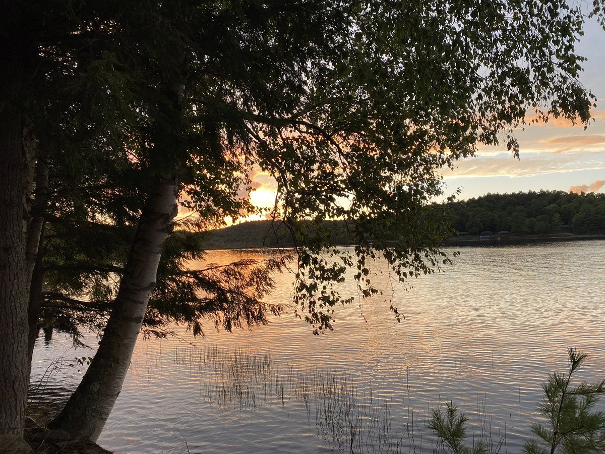 DavidsonOrthoMD's tweet photo. @PathDocBoston Adirondacks, NY https://t.co/CiDoOHy85F