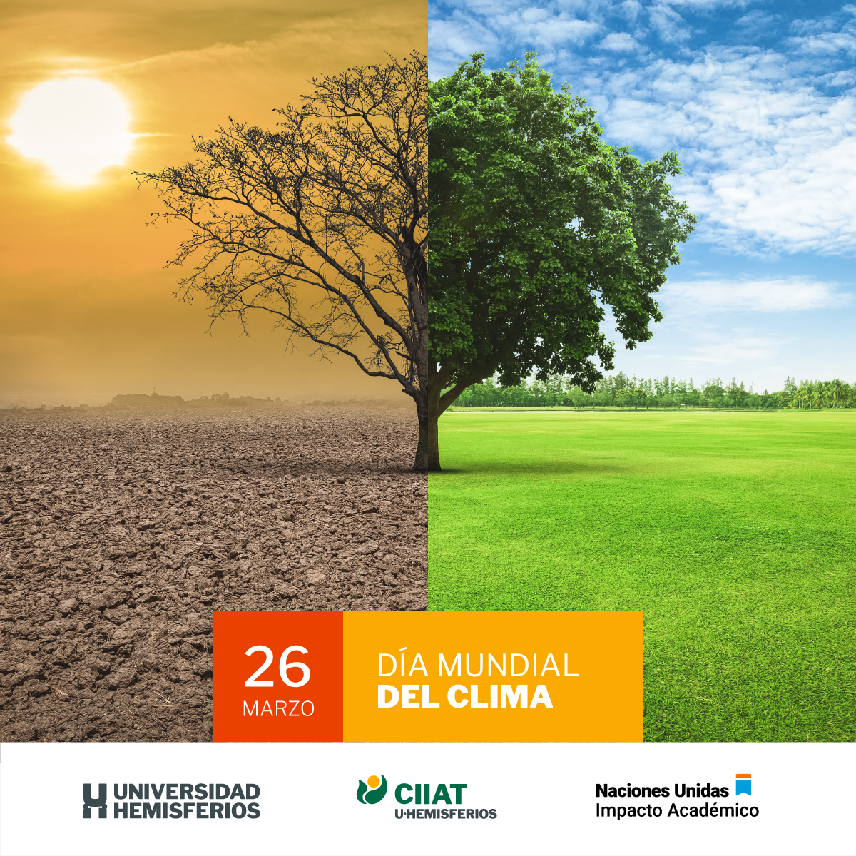 uhemisferios's tweet photo. ¿Sabías que según un artículo publicado por #NationalGeographic, julio de 2021 fue el mes más caluroso registrado en la historia? ☀️🌧️

Es momento de tomar acción y vivir una vida responsable con el #medioambiente 🌱. https://t.co/HLk8LKYfEn