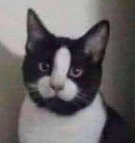 Franky (@superfranky1650) on Twitter photo 