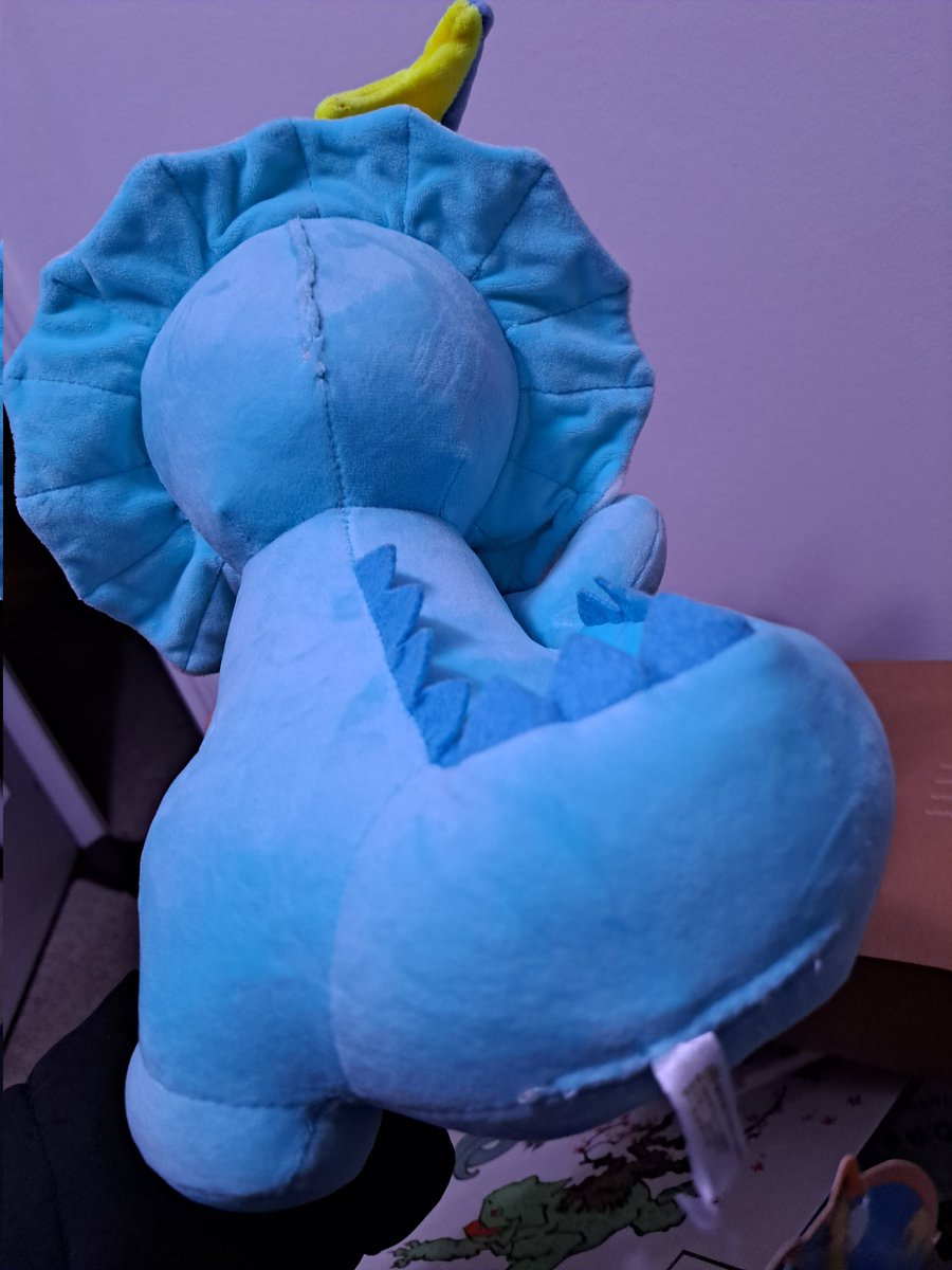 Martini 🐟 tweet media