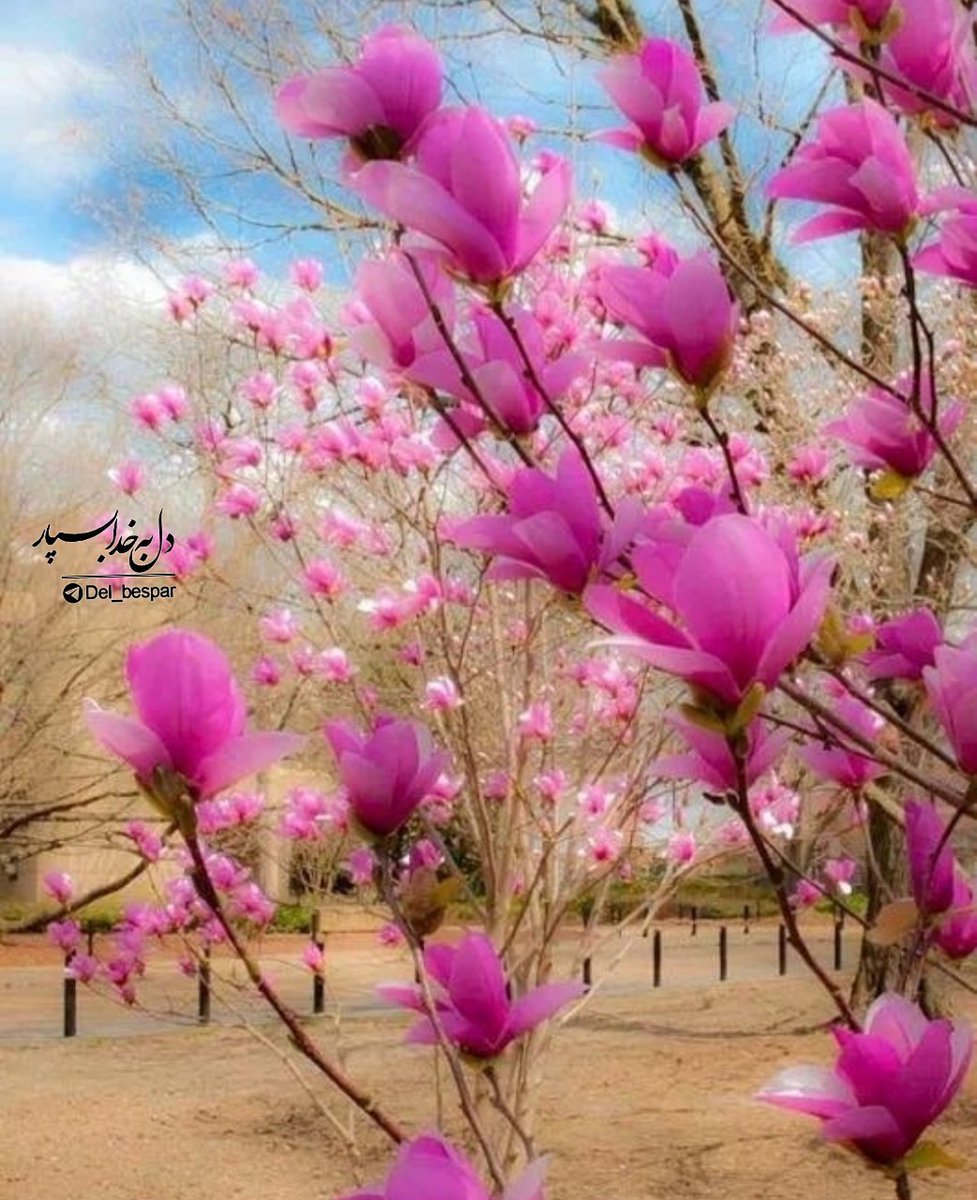 naznyn118's tweet photo. ❤️از عالِمی پرسیدند
از این همه نیایش 
به درگاه خداوند،
چه بدست آورده ای؟
جواب داد:هیچ! 

اما بعضی چیزها را از
دست داده ام!!!!
خشم، نگرانی،
 اضطراب، افسردگی،
واحساس عدم امنیت را https://t.co/W33QcNEm66