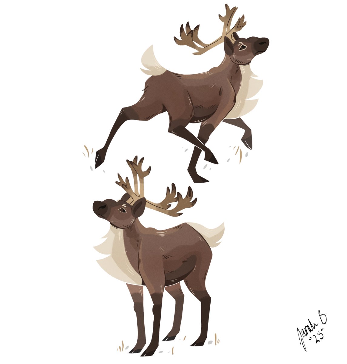 SarahBArtist's tweet image. Caribou #characterdesign #StopWillowProject
