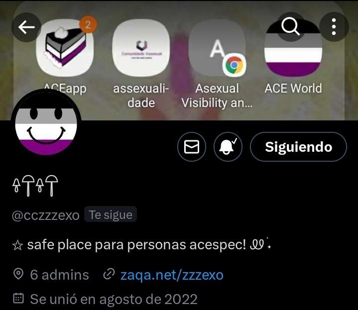 arozqace's tweet photo. @cczzzexo 

- no me gusta el icon y el header😭
- no combina ly
- pero tkm

10/10 https://t.co/wXFhDlJlFH
