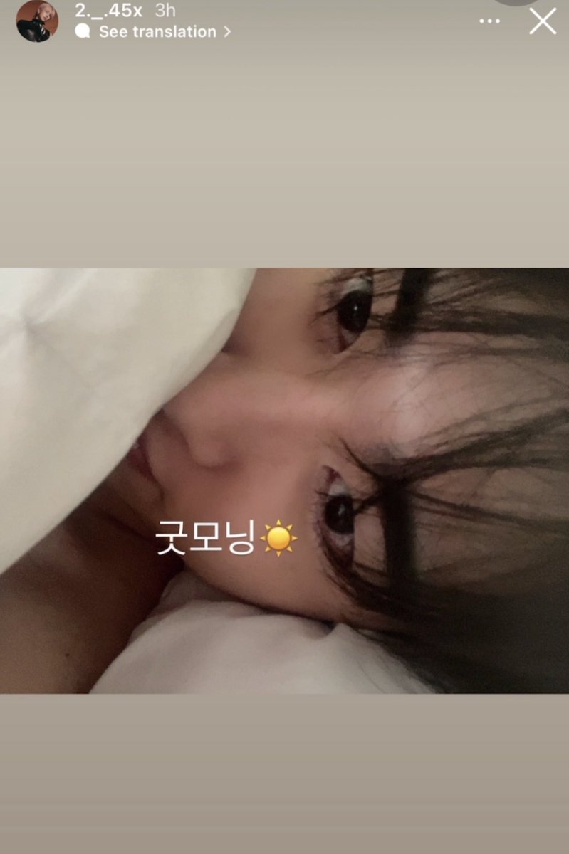 (REST) 비글미🪐Beagle&Me tweet media